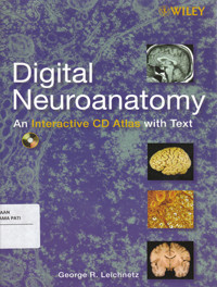 Image of Digital Neuroanatomy An Interactive CD Atlas With Text
