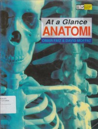 At a Glance Anatomi