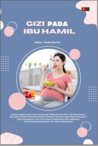 EBOOK E-BOOK GIZI PADA IBU HAMIL