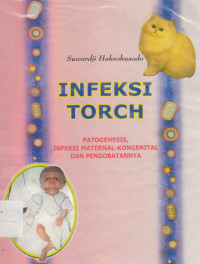 Image of Infeksi torch PAtogenesis, infeksi maternal - kongenital dan pengobatanya